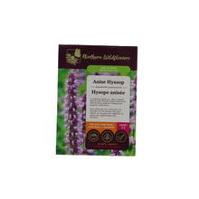 Graines - Agastache anisée