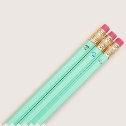 Ensemble de Tama