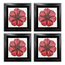 Canvas Print -Set of 4 Framed (Black) Tabletop