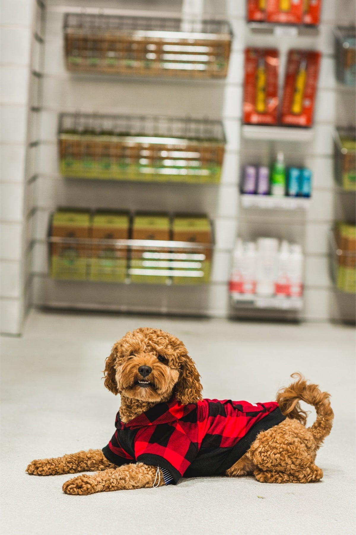 Sharper Barker - Bamboo Lightweight Hoodie