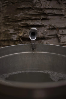 Sirop de bouleau