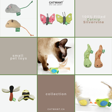 Jouets pour petits animaux à base d'herbe à chat/vigne argentée