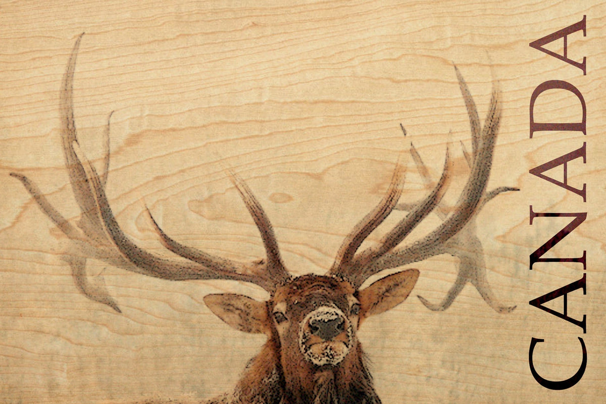 Wood Postcard - Snowy Elk
