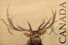 Carte postale en bois - Wapiti sous la neige