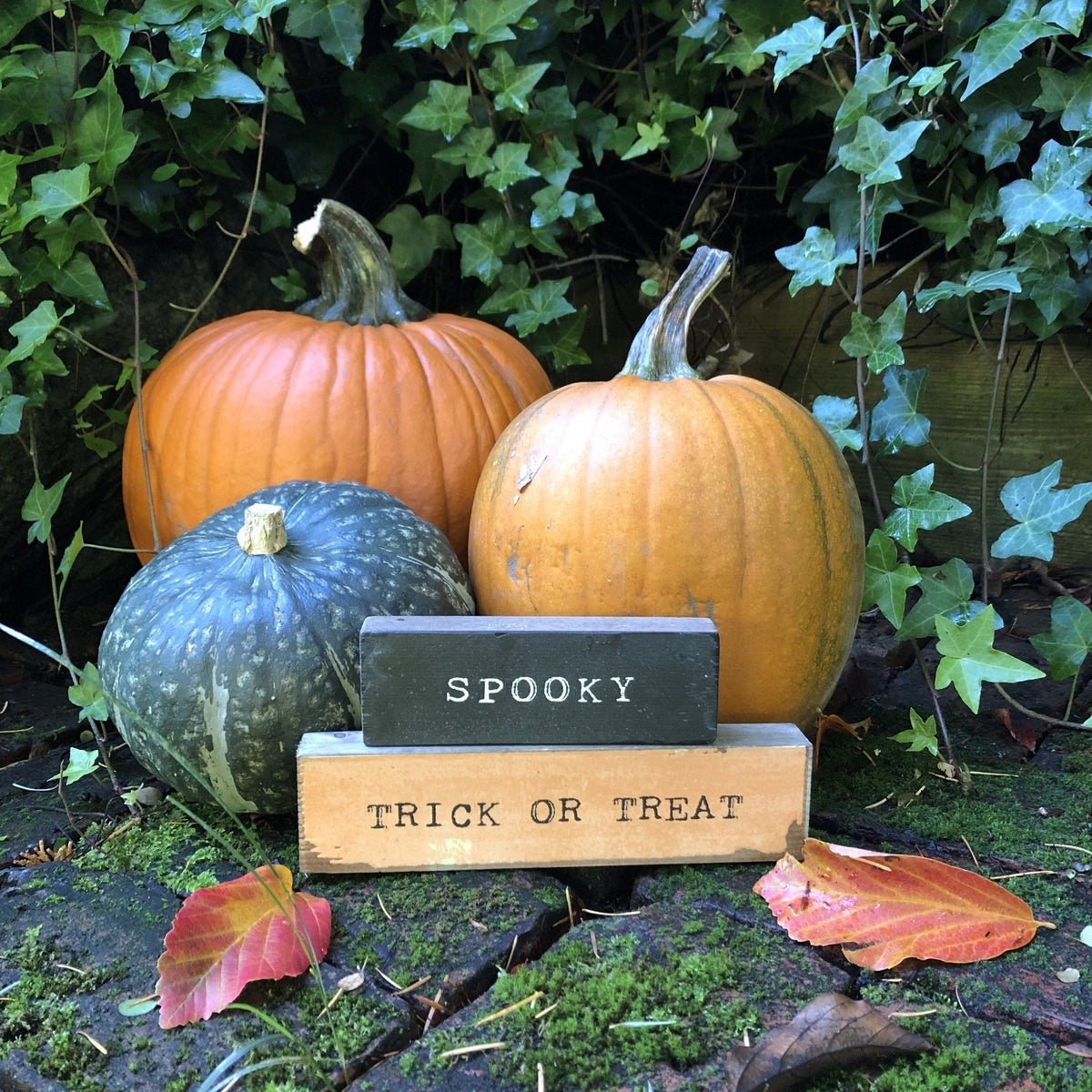 Timber Bit - Small - Spooky