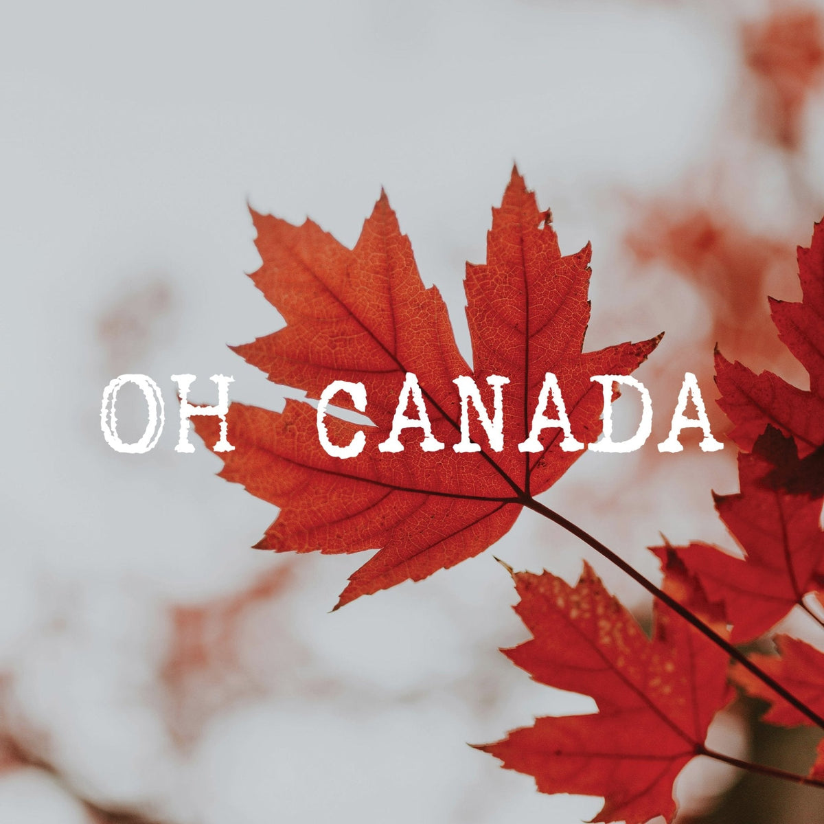 Stationery - Lost & Found Card - Canada Maple Leaf