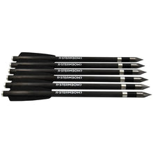 Flèches Steambow Archery AR-Series Carbon Bodkin - Lot de 6