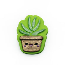 Plante succulente