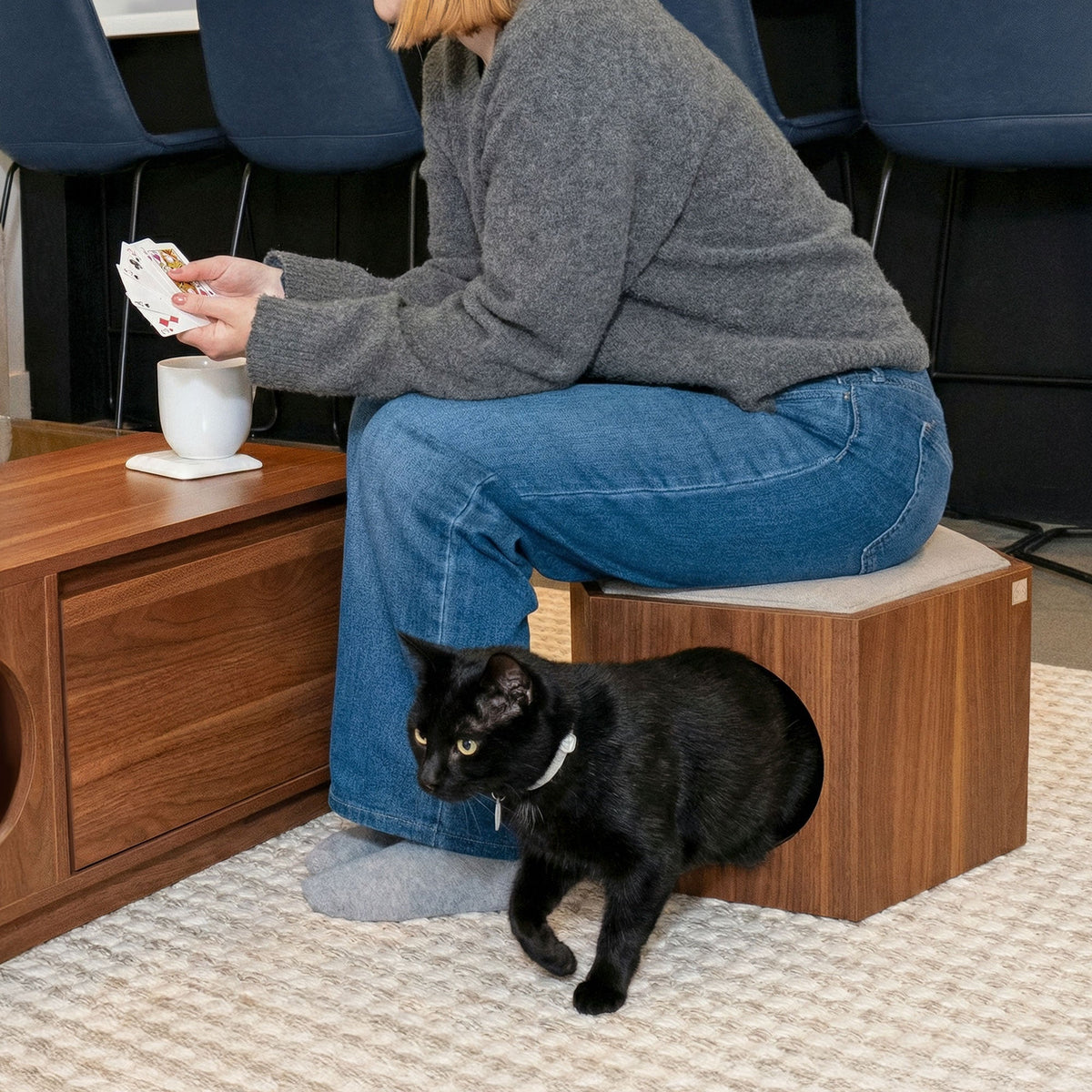 suki cat stool and shelf