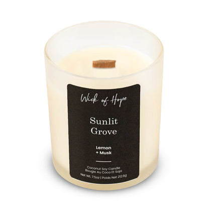 Sunlit Grove Candle | Lemon + Musk