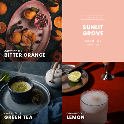 Sunlit Grove Candle | Lemon + Musk