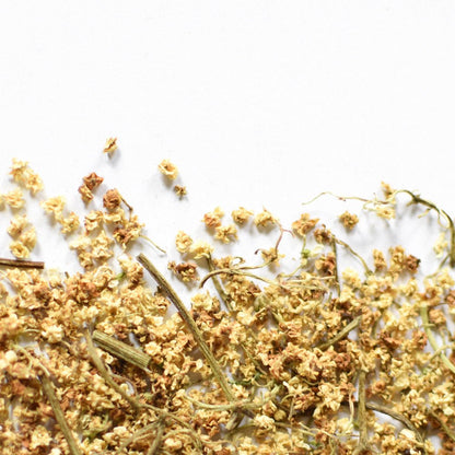 Sureaux, fleurs