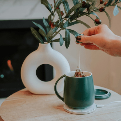 Smart Heated Mug Kit 2.0 with Wireless Charger