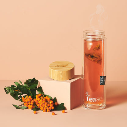 Bouteille infuseur à thé en verre et bambou 3 en 1