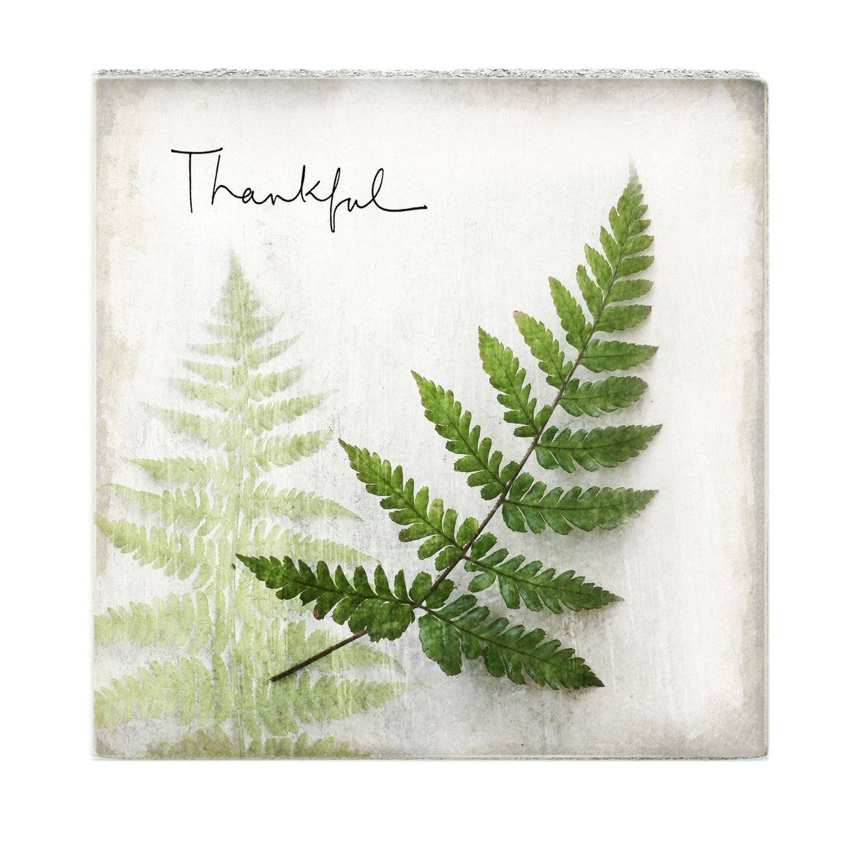 Art Block - Lost & Found - Thankful