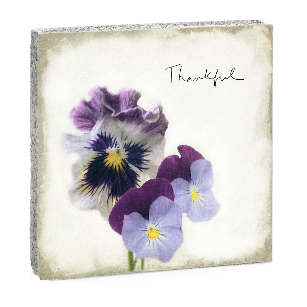 Art Block - Lost & Found - Thankful Pansies