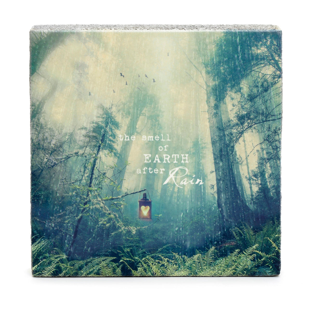 Art Block - Lost & Found - The Smell of Earth