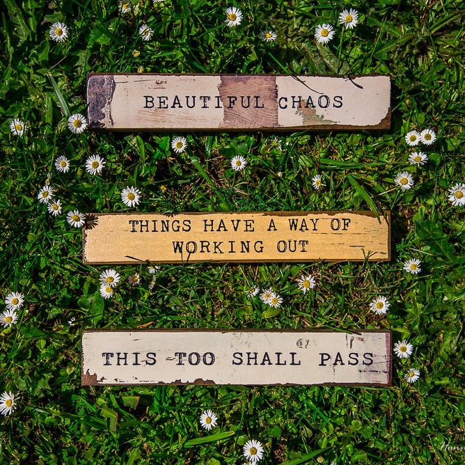 Timber Bit - Large - This Too Shall Pass