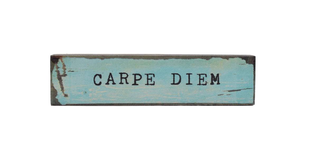Timber Bit - Medium - Carpe Diem