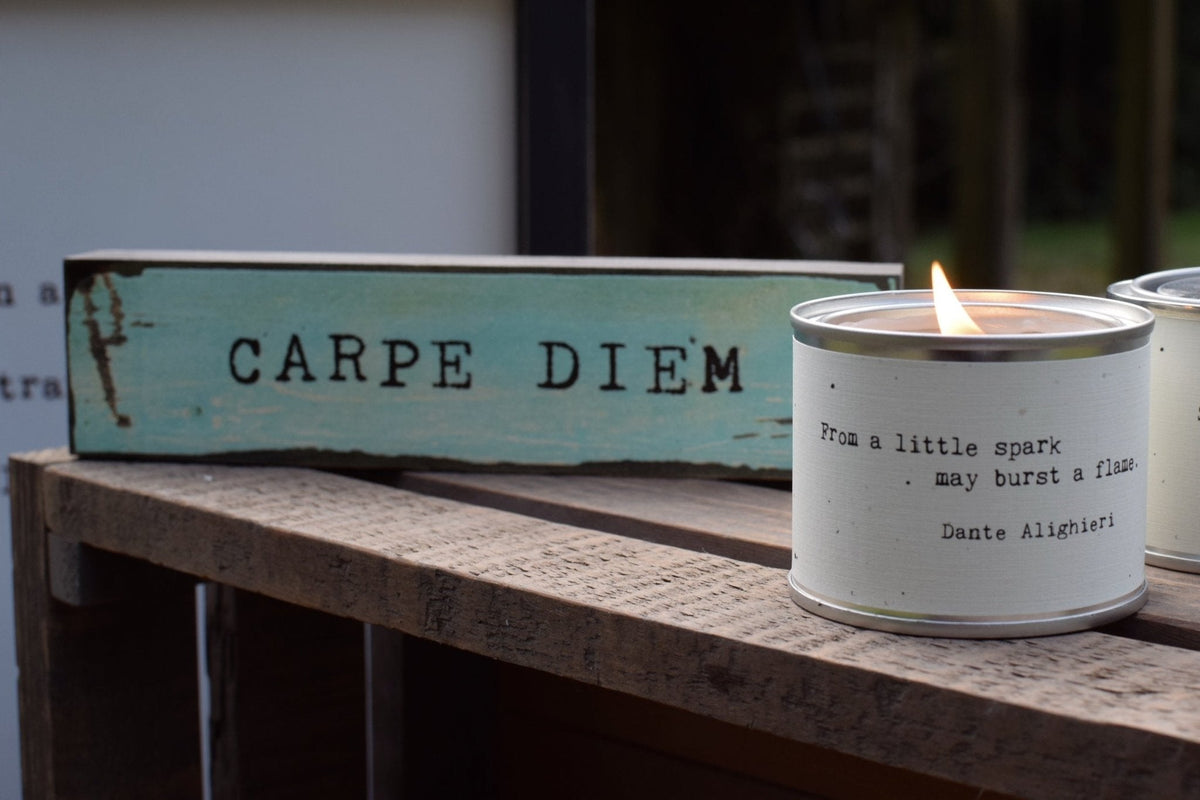 Timber Bit - Medium - Carpe Diem