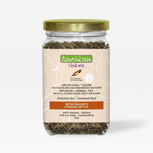 Herbal Infusion | Stinging Nettle