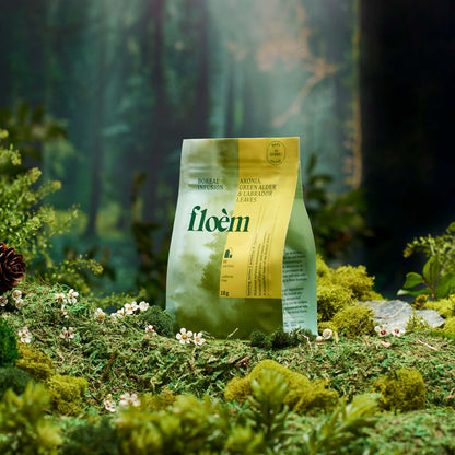 Herbal tea bags - Aronia, Alder & Labrador Tea leaves