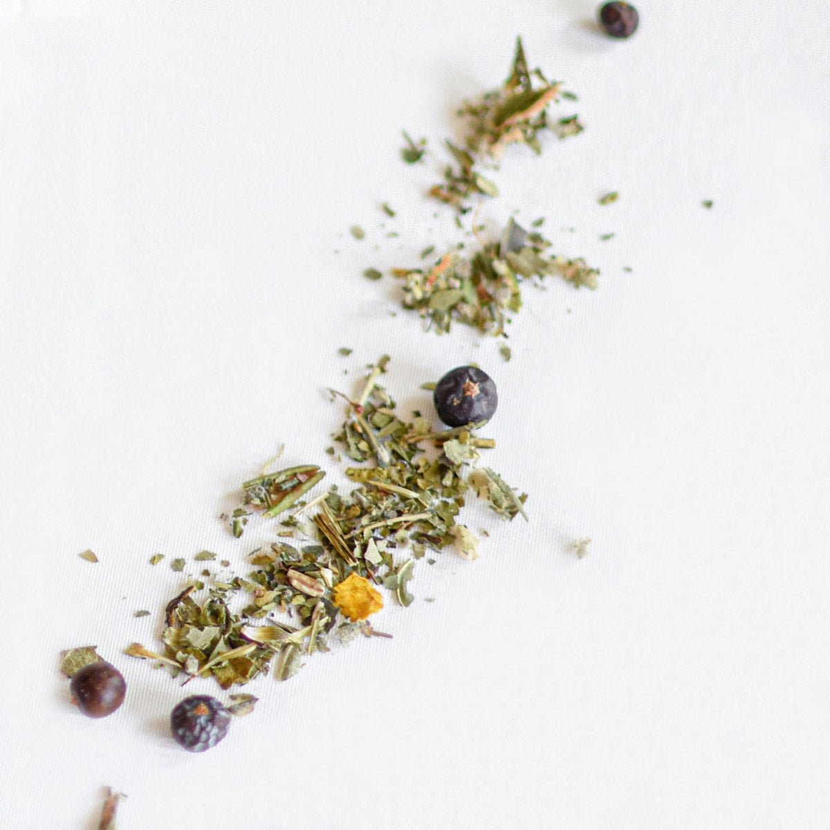 Loose leaf herbal tea - Sweet gale & echinacea