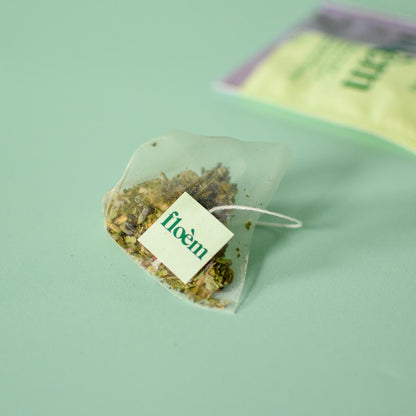 Infusion - Thuya & Lavande, sachet individuel
