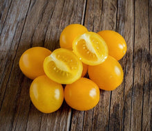 TOMATES CERISES DATTERINO BIOLOGIQUES - Bio Orto