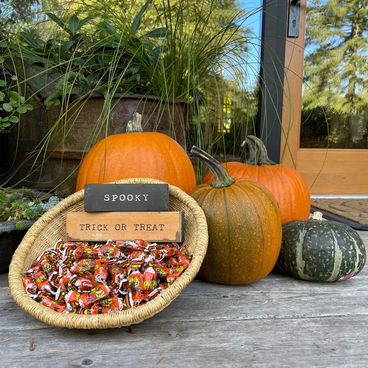 Timber Bit - Medium - Trick or Treat