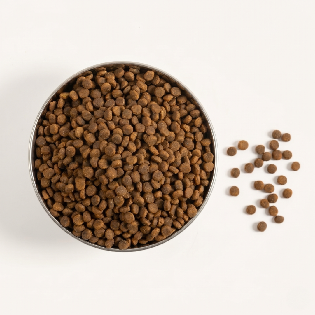 Super Premium Dog Food