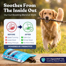 Activateur intestinal pour dindes