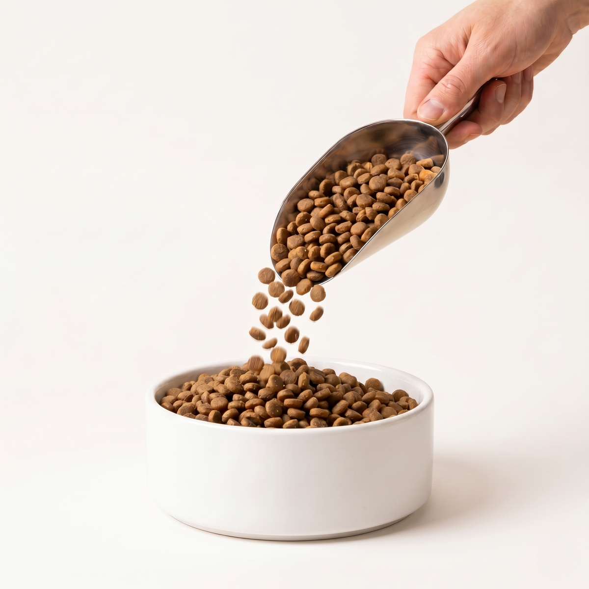 Super Premium Dog Food