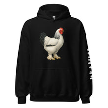 Sweat à capuche unisexe Brahma