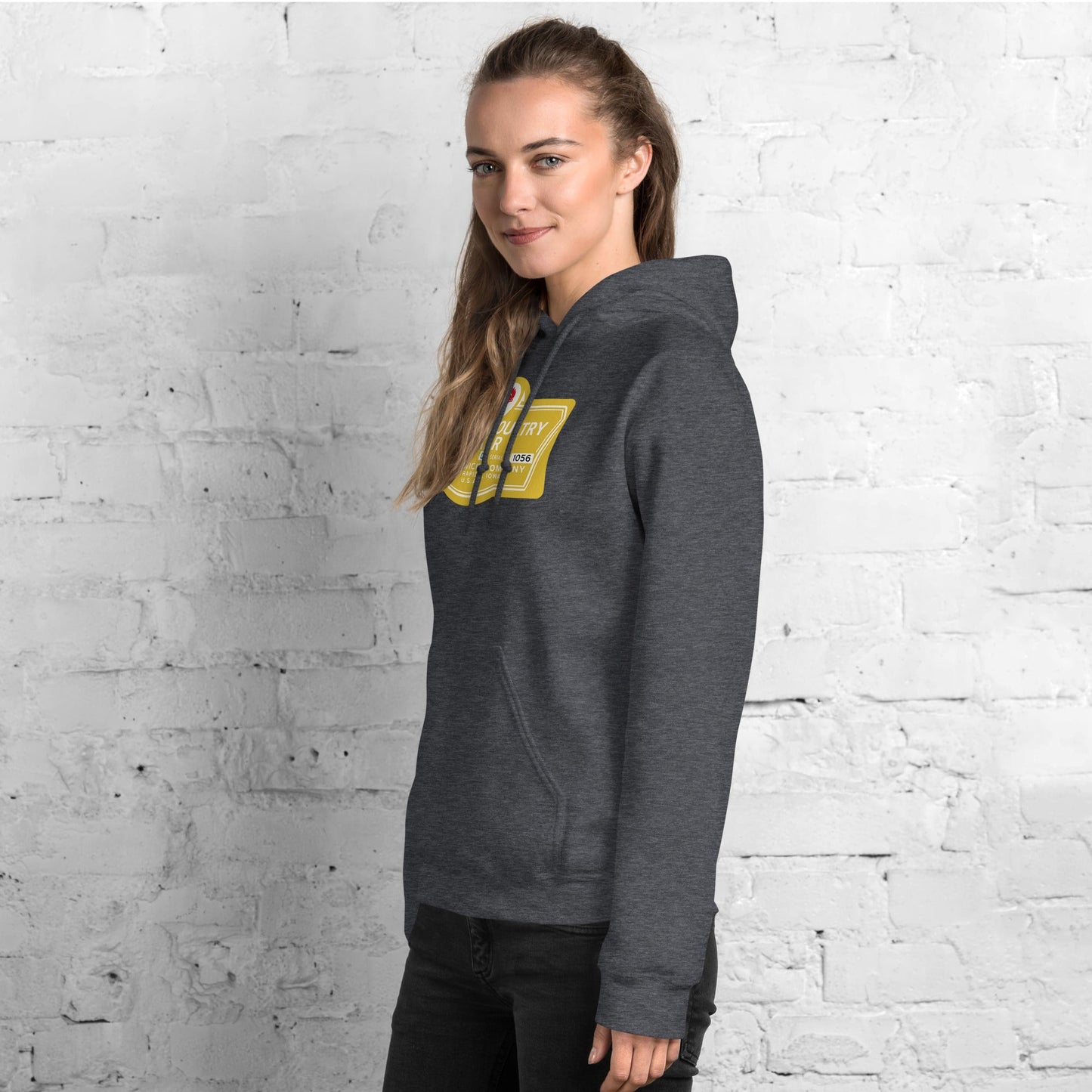 Sweat à capuche unisexe Pickwick Plucker rétro