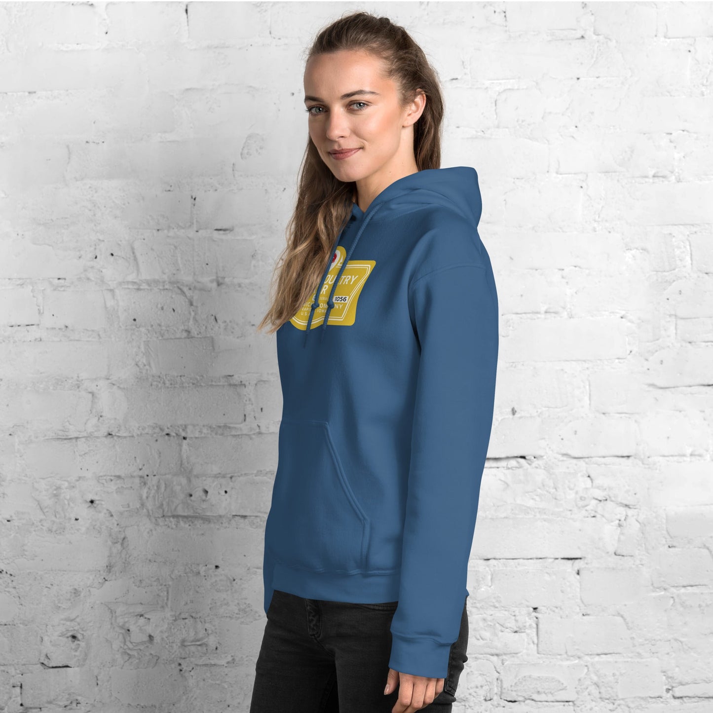 Sweat à capuche unisexe Pickwick Plucker rétro