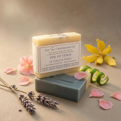 The Harmony & Light Discovery Bundle