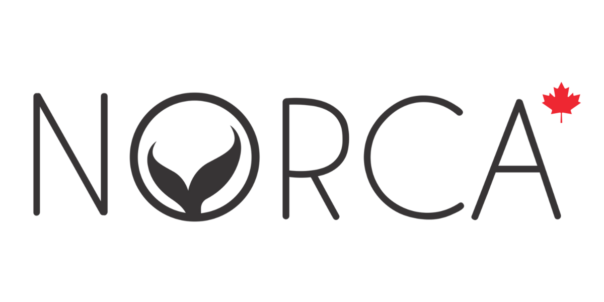 norca athletic swimwear norca natation inc official logo