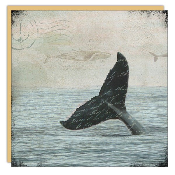 Stationery - Lost & Found Card - Whale Tail