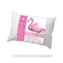White Down Pillow