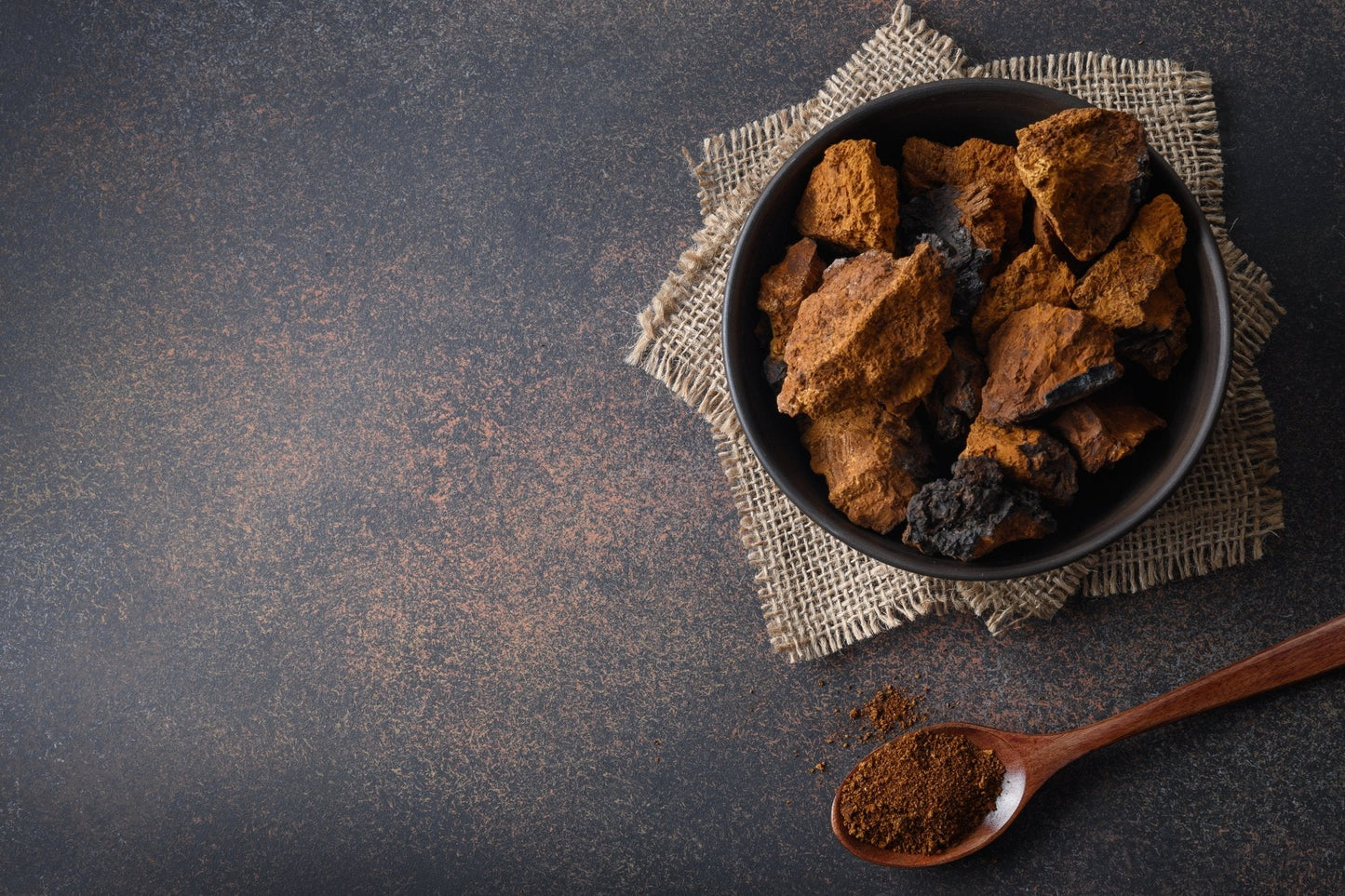 Chaga sauvage