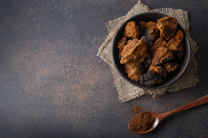 Chaga sauvage