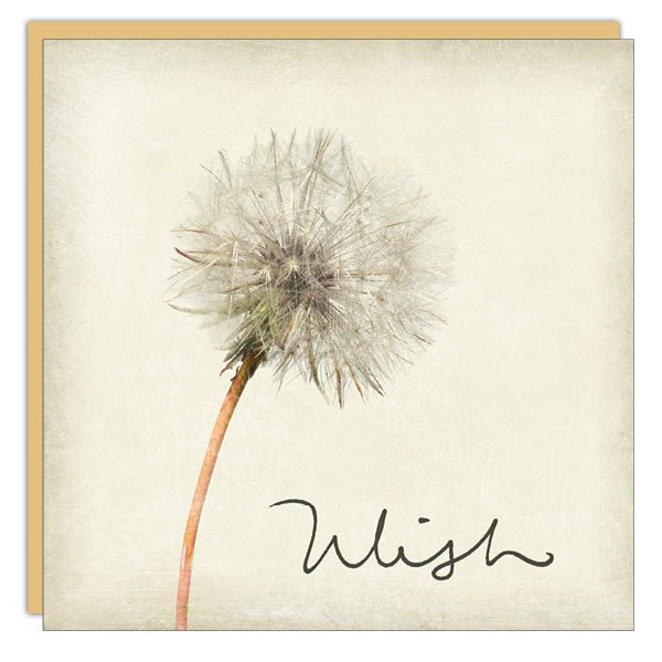 Stationery - Lost & Found Card - Wish