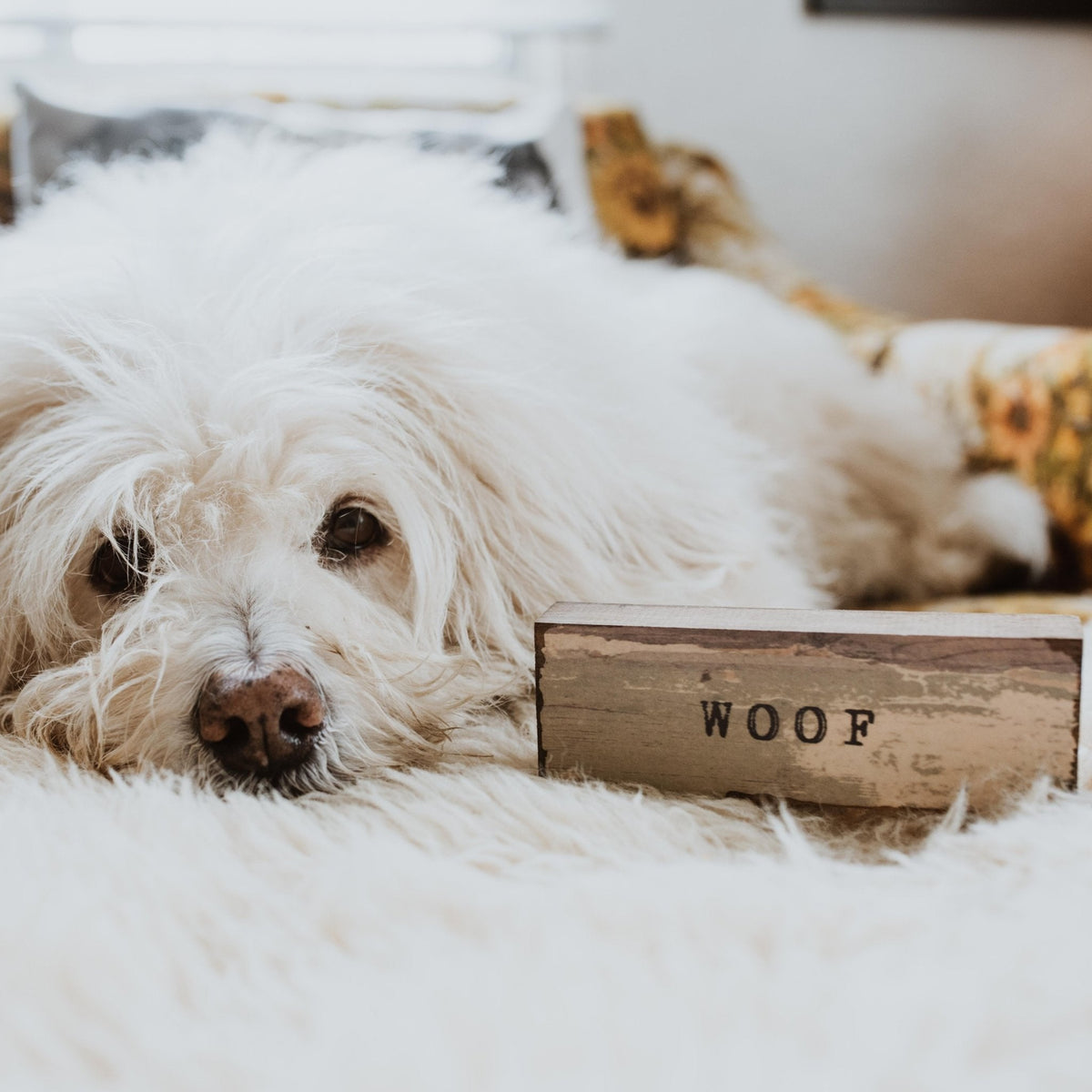 Timber Bit - Small - Woof