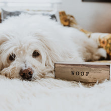 Timber Bit - Petit - Woof