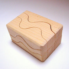 Worm Puzzle