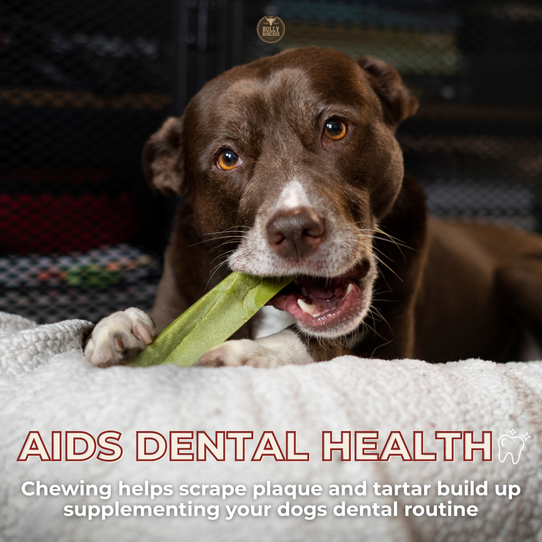 Strawberry Himalayan Yak Chew (MEDIUM)